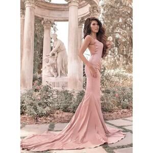 Alamour The Label Tamara Satin Gown Champagne Homecoming Prom Wedding Size XXS